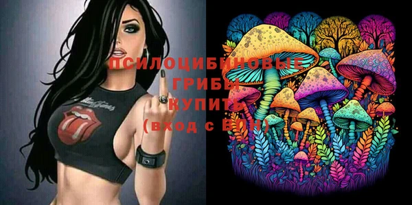прущие грибы Алексин