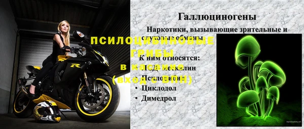 прущие грибы Алексин
