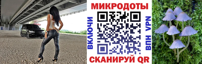Галлюциногенные грибы Cubensis  даркнет состав  Прохладный 